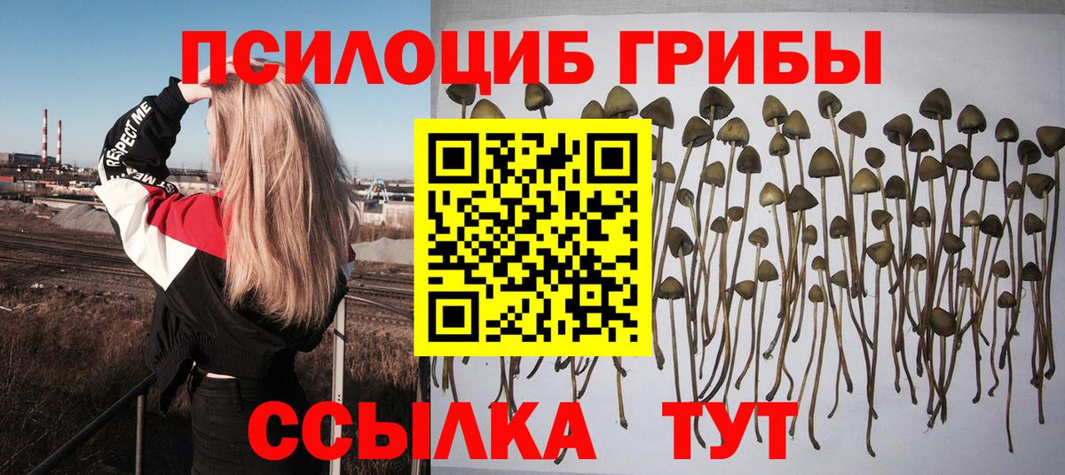 Псилоцибиновые грибы прущие грибы Верхняя Салда